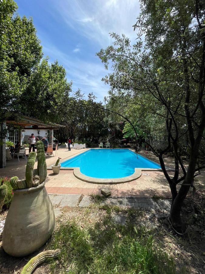 Big Relax Apartment With Swimming Pool And A Peaceful Garden In A Private Villa Sestu Екстериор снимка