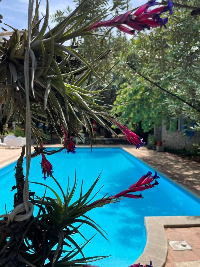 Big Relax Apartment With Swimming Pool And A Peaceful Garden In A Private Villa Sestu Екстериор снимка